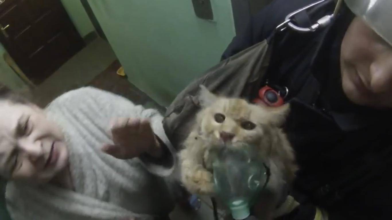 Des pompiers russes sauvent un chat après un incendie